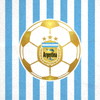 阿根廷国家足球队国旗图案